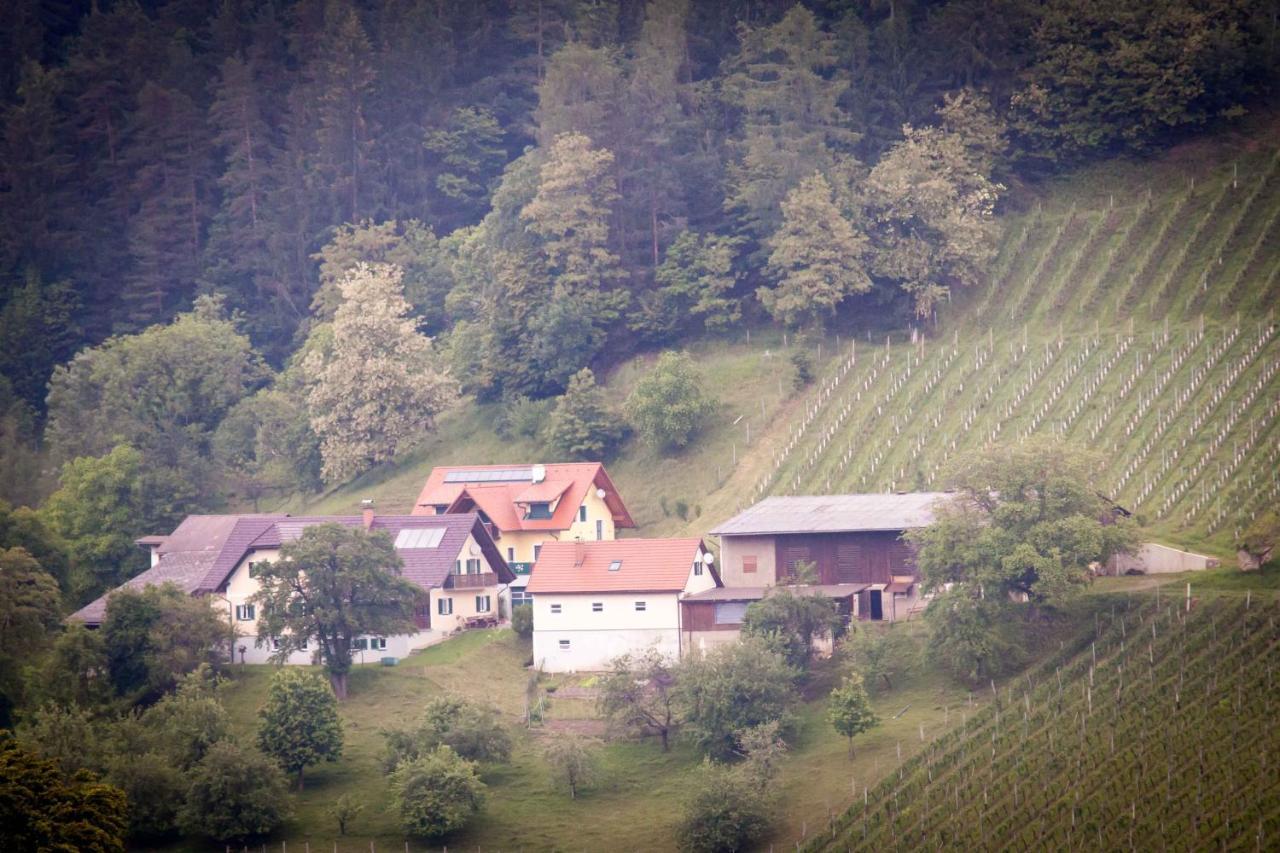 Weinbau Pronegg Vlg. Krainz Apartman Leutschach Kültér fotó